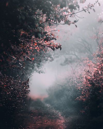 Autumn light, mysteriously clear