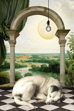Dog, Asleep. by Marja van den Hurk