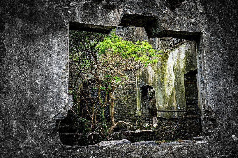 Nature prevails by Hans Vellekoop