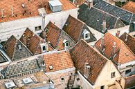 Uitzicht over de daken in Hanzestad Kampen van Sjoerd van der Wal Fotografie thumbnail