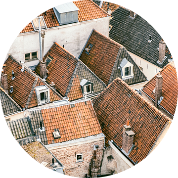 Uitzicht over de daken in Hanzestad Kampen van Sjoerd van der Wal Fotografie