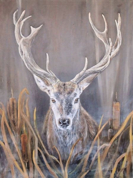 Cerf par Veronika Metasch