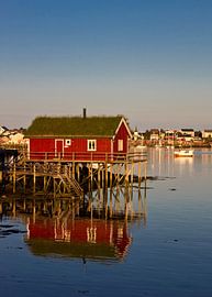 Fishing hut in the Lofoten Islands by Anja B. Schäfer