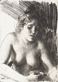 Buste, Anders Zorn (1916) van Atelier Liesjes