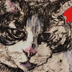 Kat portret met rode achtergrond van Liesbeth Serlie