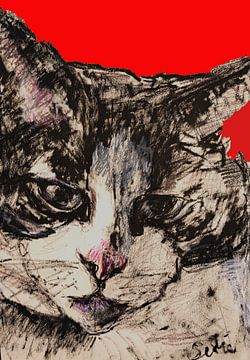 Kat portret met rode achtergrond