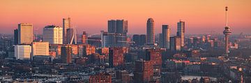 Panorama Rotterdam Skyline from LEE towers 3:1 by Vincent Fennis