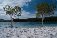 Perfect hammock location