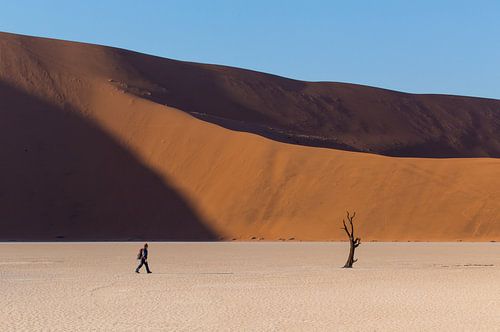 Deadvlei - Namibië