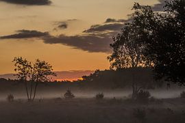 Sunrise by Carla Eekels