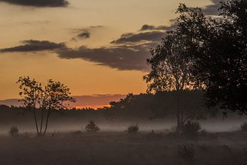 Sonnenaufgang von Carla Eekels