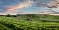 Cottage in the field