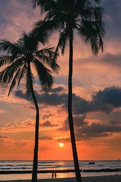 Waikiki Beach, Honolulu, Hawaii van Henk Meijer Photography