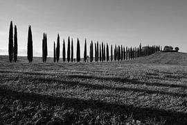 Villa Poggio Covili by Jan Kooreman