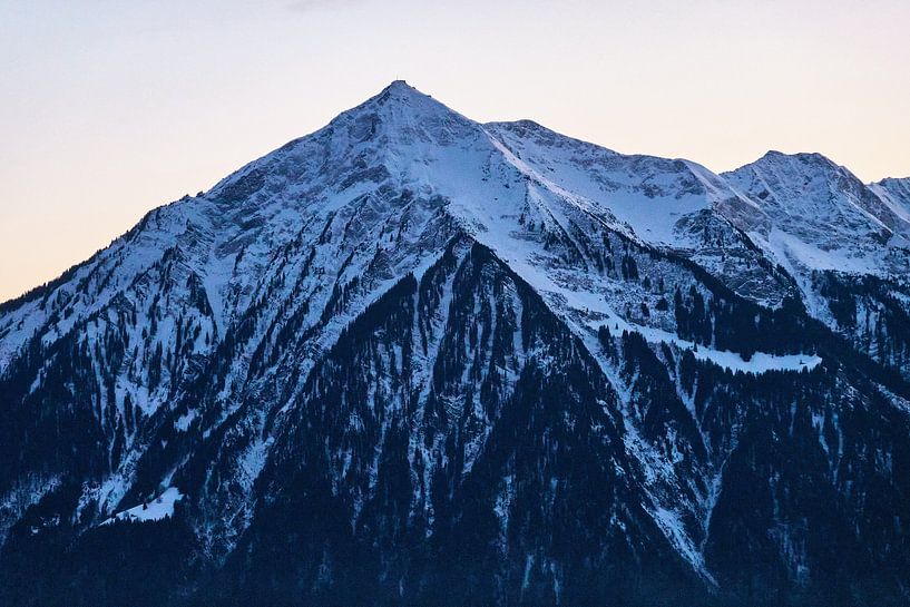 De nies in de schemering van Matthias Luescher