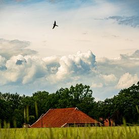 Bauernhof mit schönem Himmel von Jefry Deuze