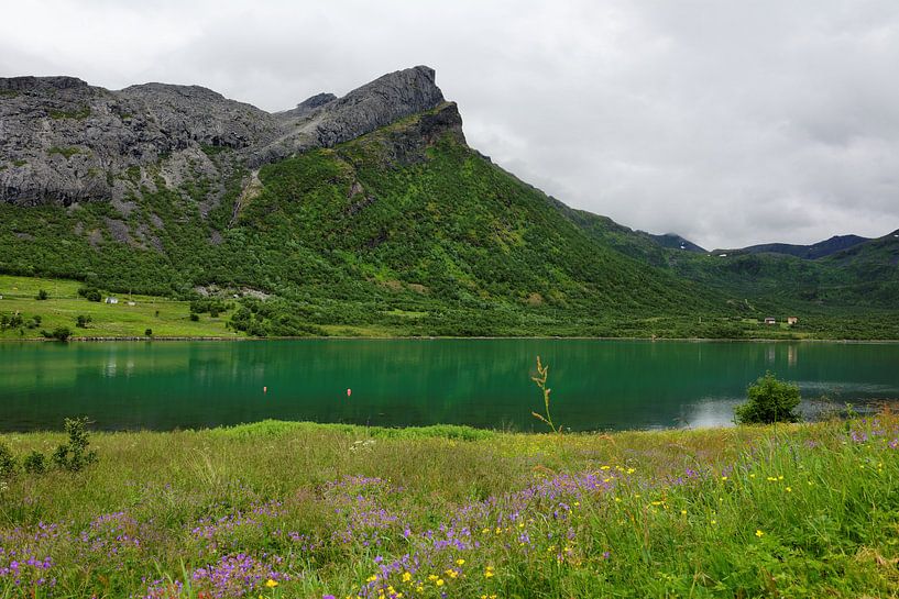 Eidsfjorden van Gisela Scheffbuch