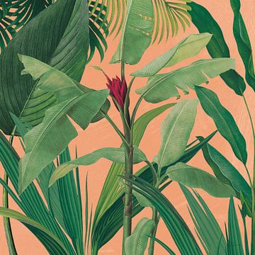 Dramatic Tropical I Boho, Sue Schlabach von Wild Apple