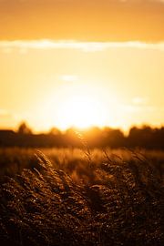 Sonnenuntergang auf dem Land von Eline Huizenga