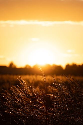 Sunset in the countryside