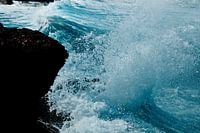 Wild water II