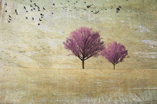 Twee kersenbomen met vogels