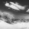 Strand , Dünen und Meer in schwarzweiss. von Manfred Voss, Schwarz-weiss Fotografie