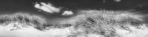 Strand, duinen en zee in zwart en wit.