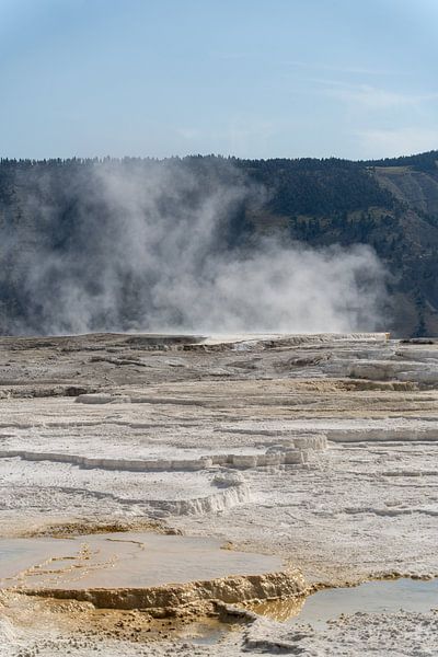 Mammoth Hot Springs, Yellowstone-Nationalpark, USA von Jeroen van Deel