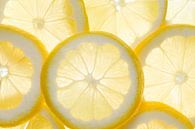 Enkele schijfjes citroen, van achteren belicht  van BeeldigBeeld Food & Lifestyle thumbnail