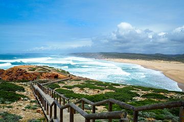 La liberté au bord de l'Atlantique  Le Fishermen's Trail - des falaises dorées, une mer d'un bleu profond et des étendues sans fin.