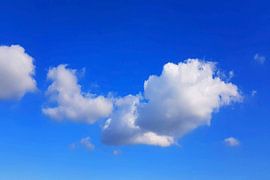 Wo die Träume fliegen lernen von Theodor Decker