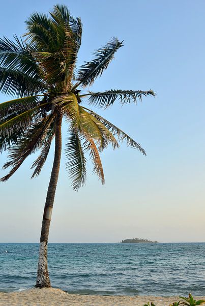 Beach landscape in San Andrés, Colombia by Carolina Reina Photography