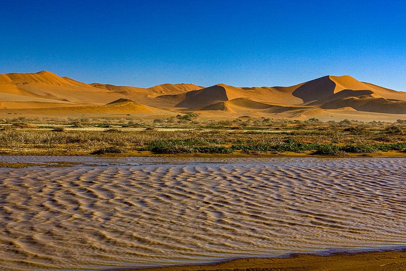 Water Dune by Peter Michel