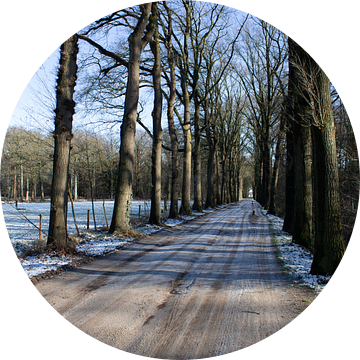 Sneeuwlandschap met bevroren zandweg van Rezona