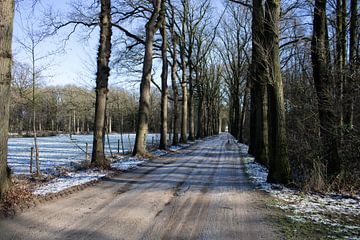 Snowy landscape with frozen sand road by Rezona
