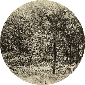 zwarte kruizen diep in het bos waar alles eindigt