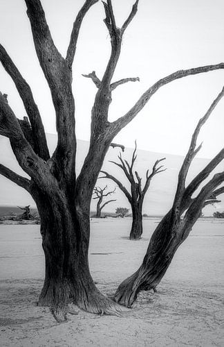 Bewaard door de natuur
