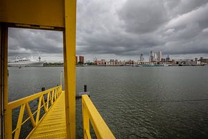 Blick auf Rotterdam