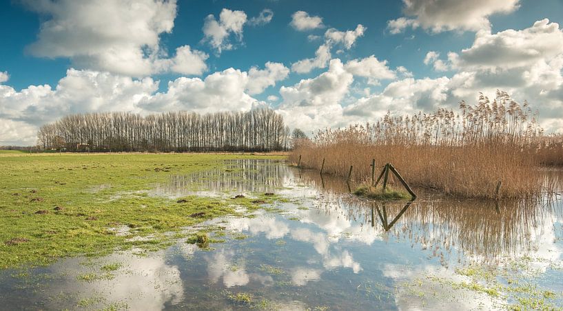  Rivier de Oude Rijn  by Jeroen Kleverwal