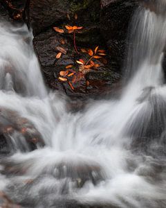 Wasserfall von Hanna Verboom
