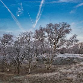 Winterlandschaft von SoMe Fotografie