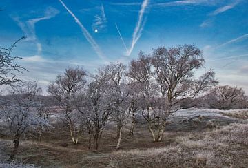Winterlandschap van SoMe Fotografie