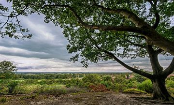 Uitzicht vanaf de Lemelerberg van R Smallenbroek