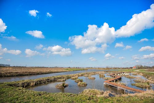 Herfstlandschappen Landgoed Haar zuilen, Utrecht