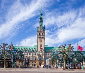 Hôtel de ville de Hambourg, Hambourg, Allemagne