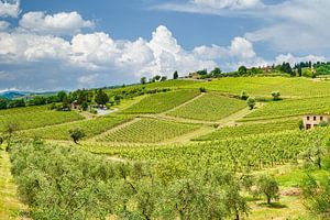 Weinregion Chianti in der Toskana