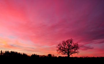 Roze zonsondergang van Corinne Welp