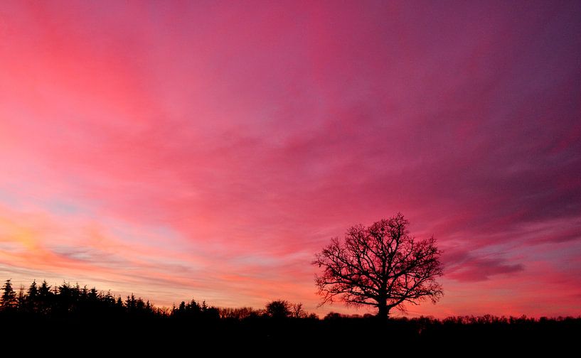 Roze zonsondergang van Corinne Welp