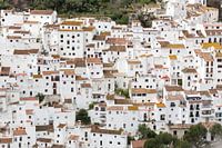 Spain - Andalusia (Casares)